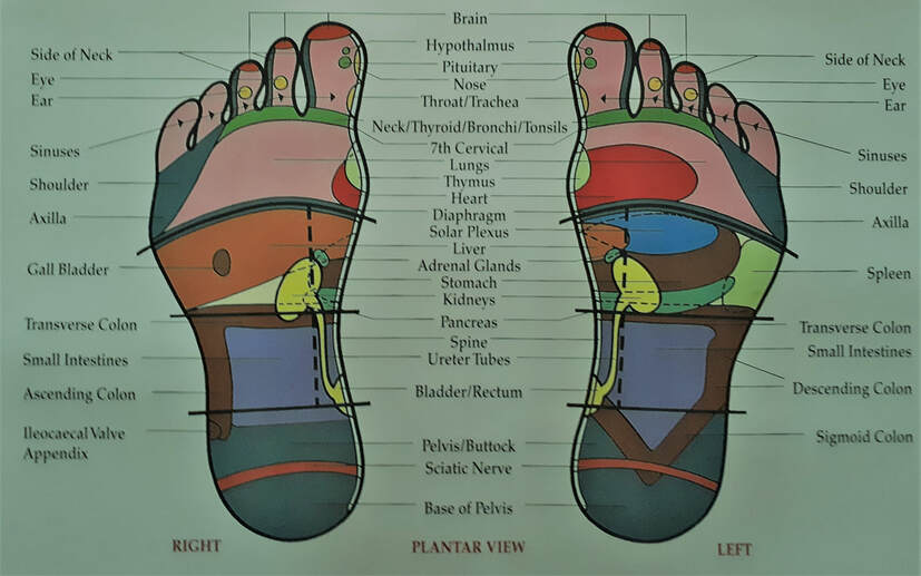 Reflexology Foot Map